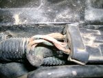 Tire Automotive tire Hood Motor vehicle Tread